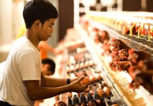 a young man looking at eggs on display in a store at BBVC Hostel CollegeStay in Ban Thurian