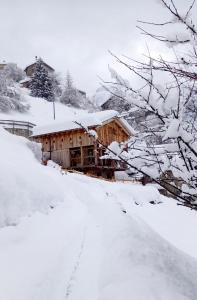 una cabina in legno nella neve con alberi innevati di Chalet-Tabià al Sol montagna Dolomiti Pecol a San Tomaso