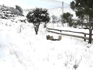 Foto de la galeria de Molí d'en Pi a Morella 27 fotos més