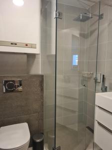 Kúpeľňa v ubytovaní Appartement Bergzauber