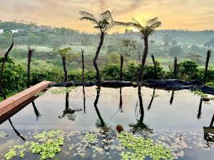 a pond of water with palm trees in the background at Mầm Farmstay And Camping in Riong Thô (2)