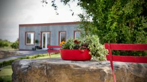 Giardino di The Tin Shed