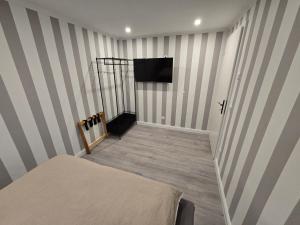 TV a/nebo společenská místnost v ubytování Havel Suites