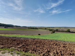un campo aperto con un campo di colture di Ferienwohnung Rhönblick a Bad Königshofen im Grabfeld