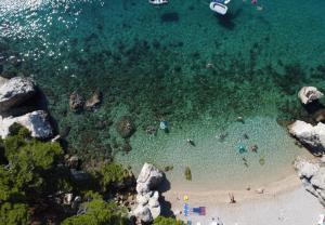 Príroda v okolí apartmánu