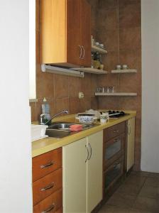 Kuchyňa alebo kuchynka v ubytovaní Apartments Mako