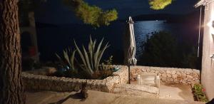 Fotografia z galérie ubytovania Apartment Natad v destinácii Vinišće