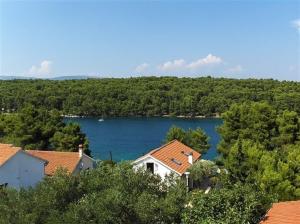Příroda nedaleko apartmánu