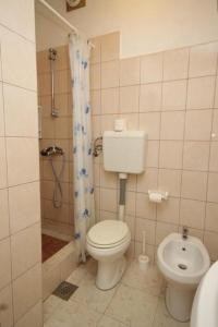 a bathroom with a toilet and a shower at Apartment Milan in Lastovo