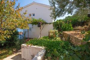 Vonkajšia záhrada v ubytovaní Apartments Petar