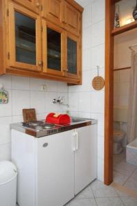 a kitchen with a sink and a counter top at Apartment Milan in Lastovo