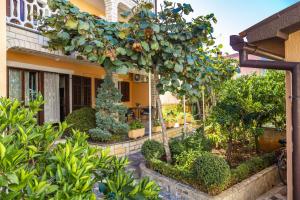 Zahrada ubytování Apartments Mir
