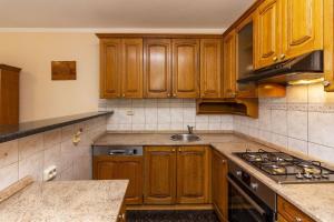 Kuchyň nebo kuchyňský kout v ubytování Apartments Mir