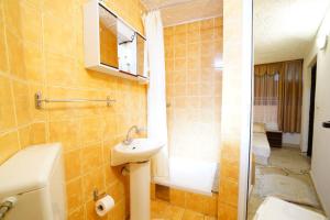 Koupelna v ubytování Apartment Lile