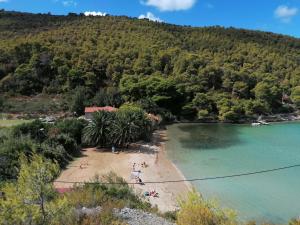 a group of people on a beach in the water at House Linker in Kut