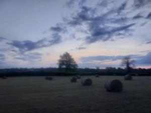 Foto dalla galleria di The Tin Shed a Tara