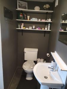 un bagno con un water e un lavandino di The Tin Shed a Tara Altre 35 foto