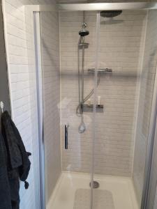 una doccia con una porta in vetro in un bagno di The Tin Shed a Tara
