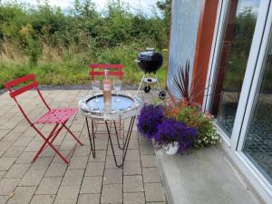 Giardino di The Tin Shed