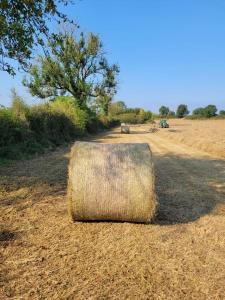 Paesaggio naturale nelle vicinanze della casa vacanze