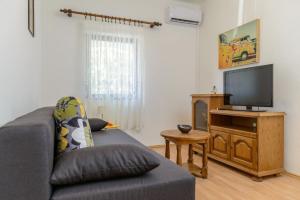 TV a/nebo společenská místnost v ubytování Apartment Vesna