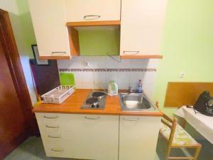 Kuchyňa alebo kuchynka v ubytovaní Apartments Ani