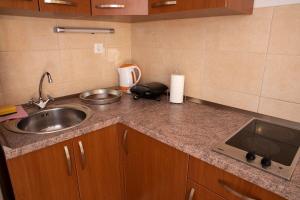 Kuchyňa alebo kuchynka v ubytovaní Apartments Ruzica