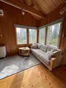 un salon avec un canapé et quelques fenêtres dans l'établissement Pyhän Patikka Holiday home, à Pyhätunturi