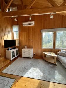 un salon avec un canapé et une télévision dans l'établissement Pyhän Patikka Holiday home, à Pyhätunturi