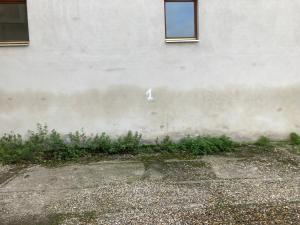 Fotografia z galérie ubytovania SUZANNE STRASBOURG v Štrasburgu