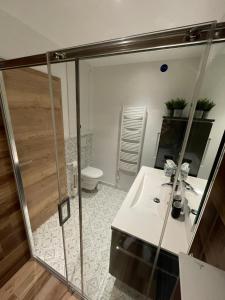 a bathroom with a shower and a sink and a toilet at Ferienhaus in Ostseenähe für 4 Personen in Rövershagen