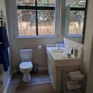 a bathroom with a toilet and a sink and two windows at Corgi Cottage in Stanford