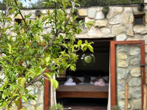 a stone walledificialificialificialificialificialificialificialificialificialificialificialificial at Stormsriver Backpackers Dijembe in Stormsrivier