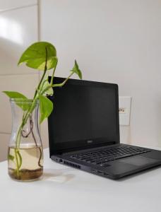 a laptop on a table with a vase and a plant at Encanto Acomodações in Guarda do Embaú