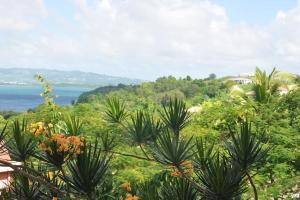a view of the ocean from a hill with trees at Sublime appartement pour 4pers - Clim - Vue mer - Parking in Les Trois-Îlets
