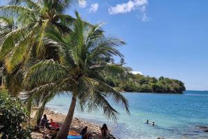 a palm tree on a beach with people in the water at Sublime appartement pour 4pers - Clim - Vue mer - Parking in Les Trois-Îlets