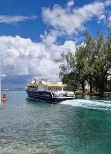 a boat in the water on a river at Sublime appartement pour 4pers - Clim - Vue mer - Parking in Les Trois-Îlets