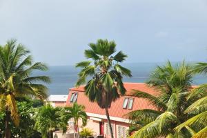 a building with palm trees in front of the ocean at Sublime appartement pour 4pers - Clim - Vue mer - Parking in Les Trois-Îlets