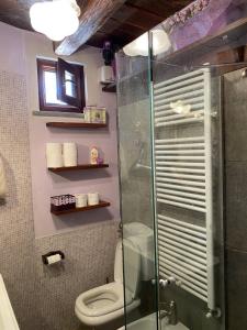 a bathroom with a toilet and a glass shower at Baita Rousinette in Joussaud