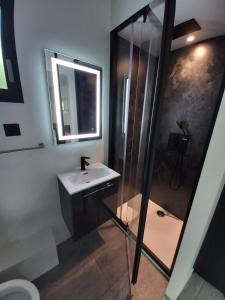a bathroom with a sink and a shower with a mirror at Tiny house dans l'ouest lyonnais in Sain-Bel +4 photos