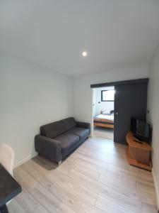 a living room with a couch and a television at Tiny house dans l'ouest lyonnais in Sain-Bel