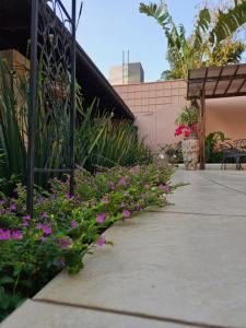 a garden with pink flowers on a sidewalk at Casa Garay Hotel 658 in Asuncion