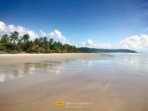 セーハ・グランデにあるCantinho da Pazのヤシの木と海の空きビーチ +8枚の写真