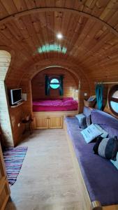 LoulleRoulotte viticole的小屋内的一个带沙发和床的房间