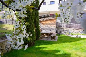 Zahrada ubytování Villa Paula