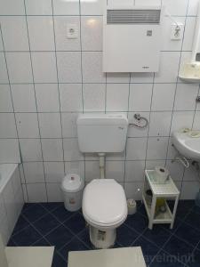 a bathroom with a white toilet and a sink at Karak Apartman in Harghita-Băi
