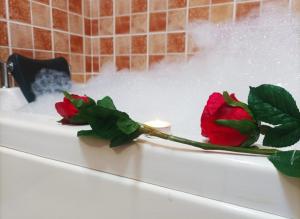 two roses sitting on top of a bath tub at Casa vacacional Los Enserados in Renedo de Piélagos +13 photos