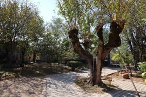 Κήπος έξω από το Feel House