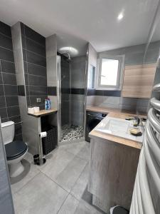 a bathroom with a toilet and a sink and a shower at Vue lac - T2 rénové - Parking - 4 pers in Gap