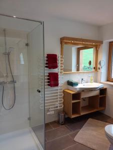 a bathroom with a glass shower and a sink at Chalet Leni in Schladming